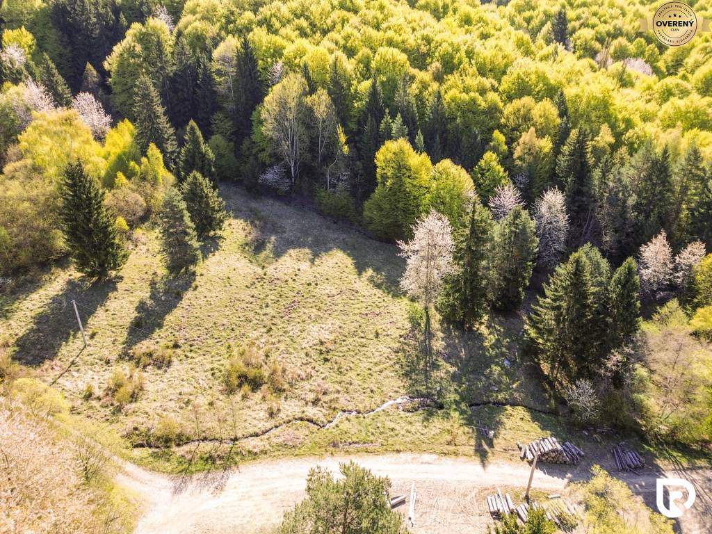 DJI_0020_1.JPG