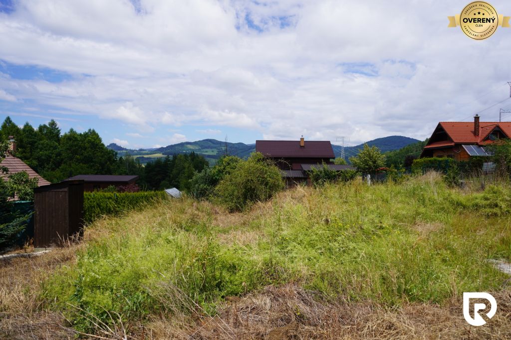 DSC00360_zmensena.JPG