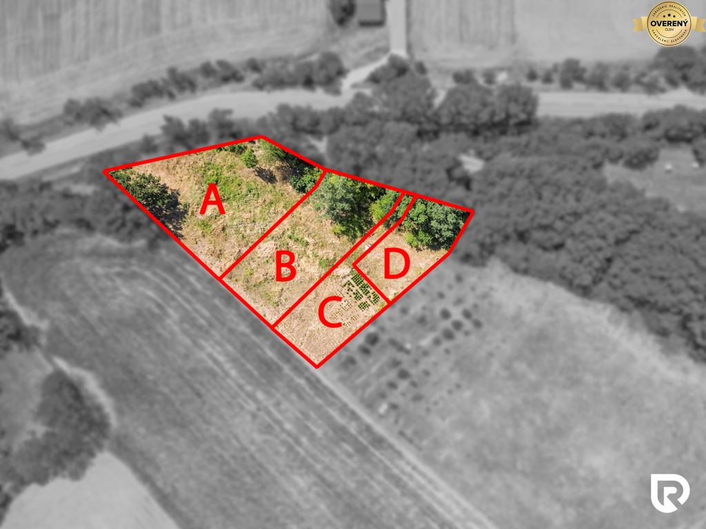 DJI_0303 - kópia.JPG