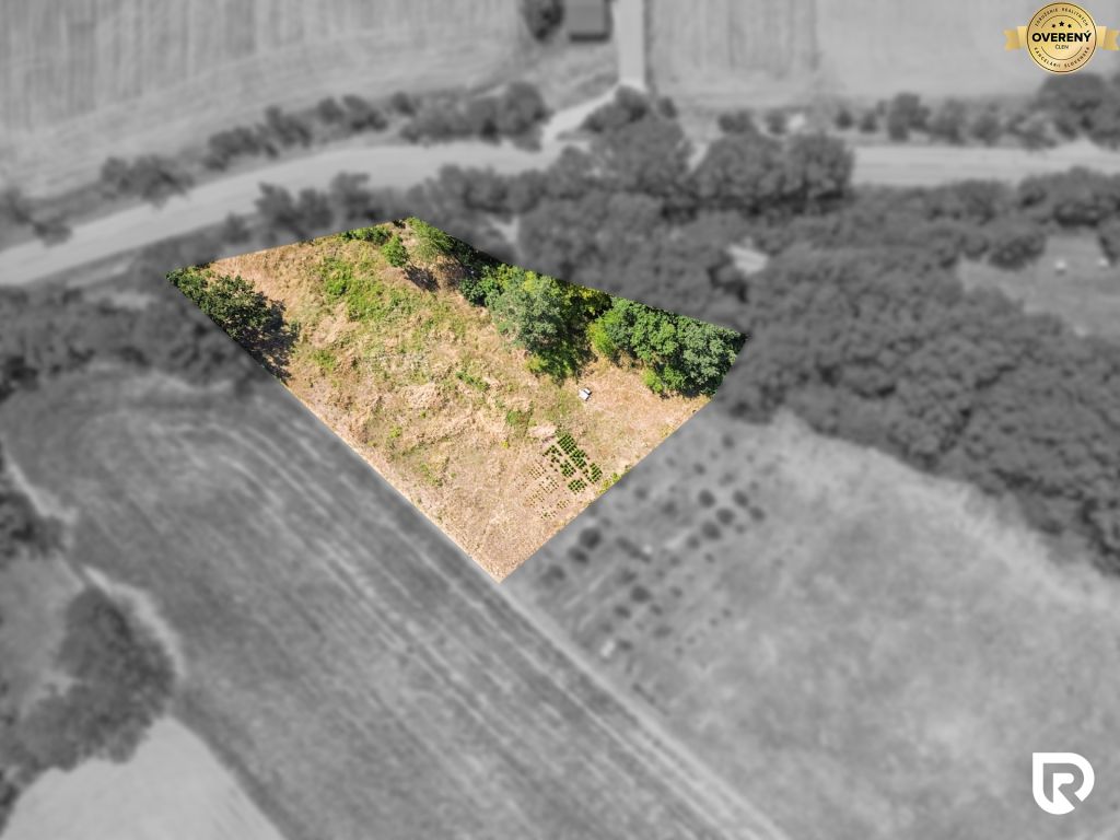 DJI_0303.JPG