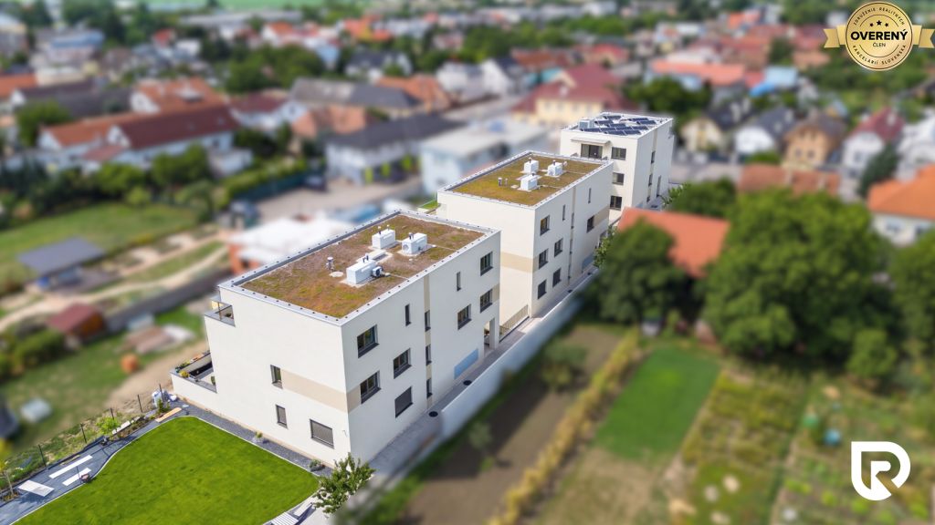 DRON 1.jpg