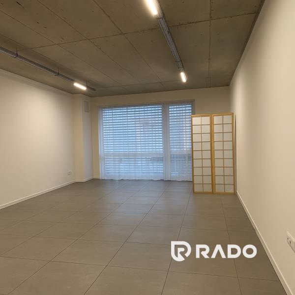 ChatGPT Image Nov 17, 2025, 10_12_27 AM.jpeg