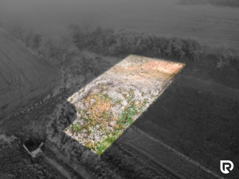 dji_fly_20251119_084252_627_1764339154927_photo_optimized.JPG
