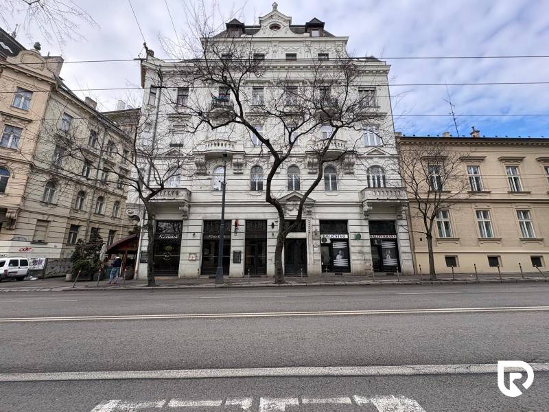 WhatsApp Image 2026-02-19 at 17.00.43 (4).jpeg